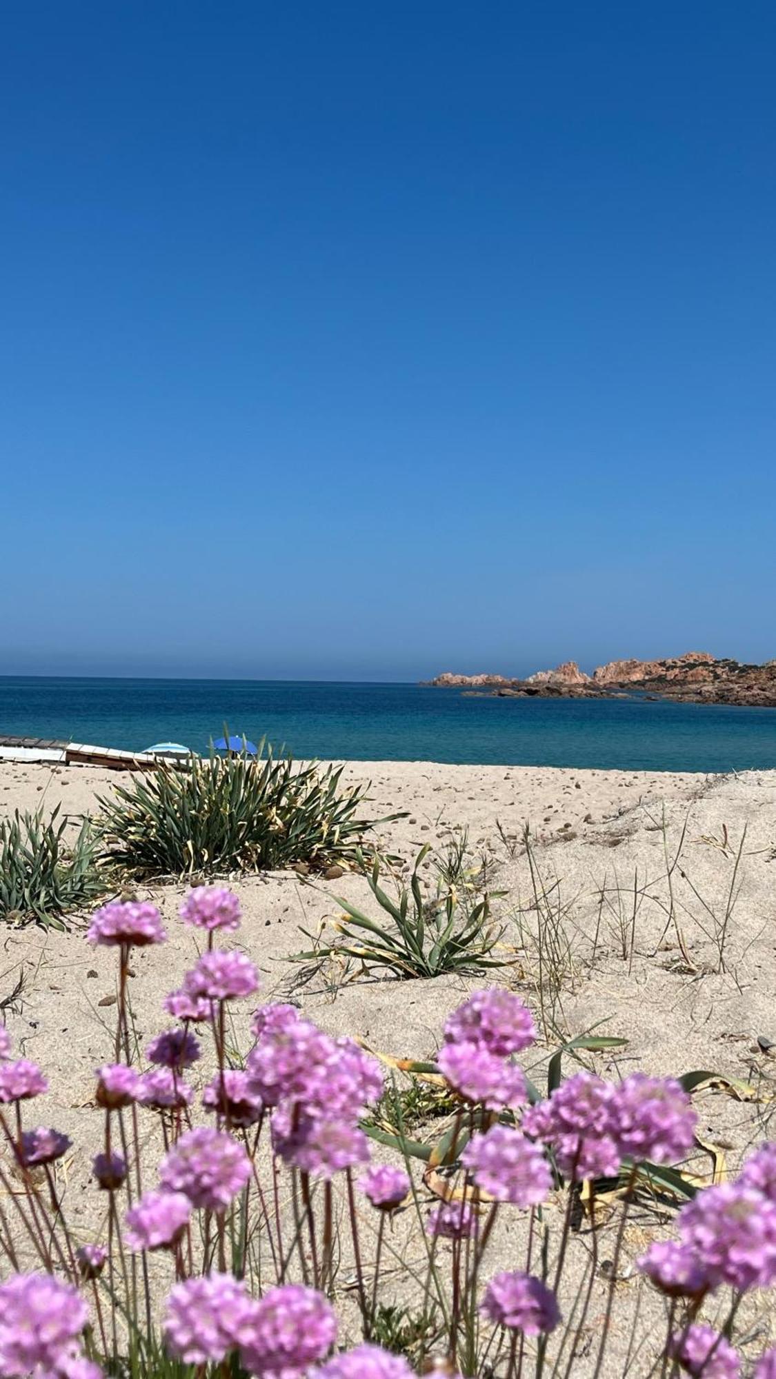 Paduledda Isola Rossa