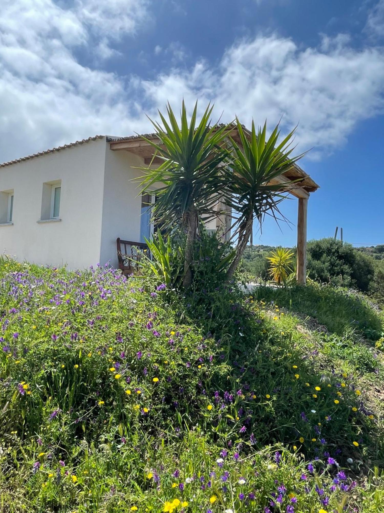 Apart-hotel Paduledda Isola Rossa