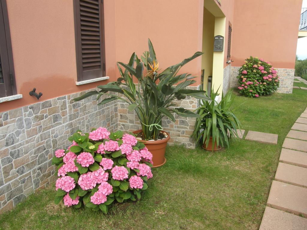 Apart-hotel Paduledda